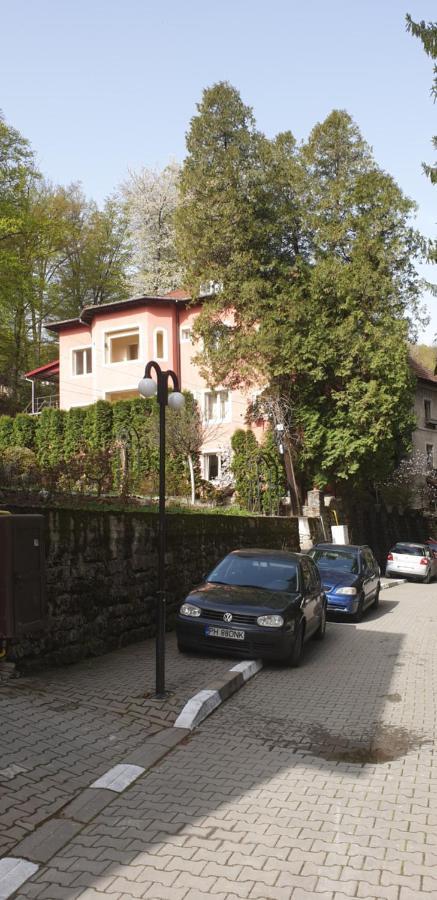 Casa Rosa Villa Băile Olăneşti Exterior foto